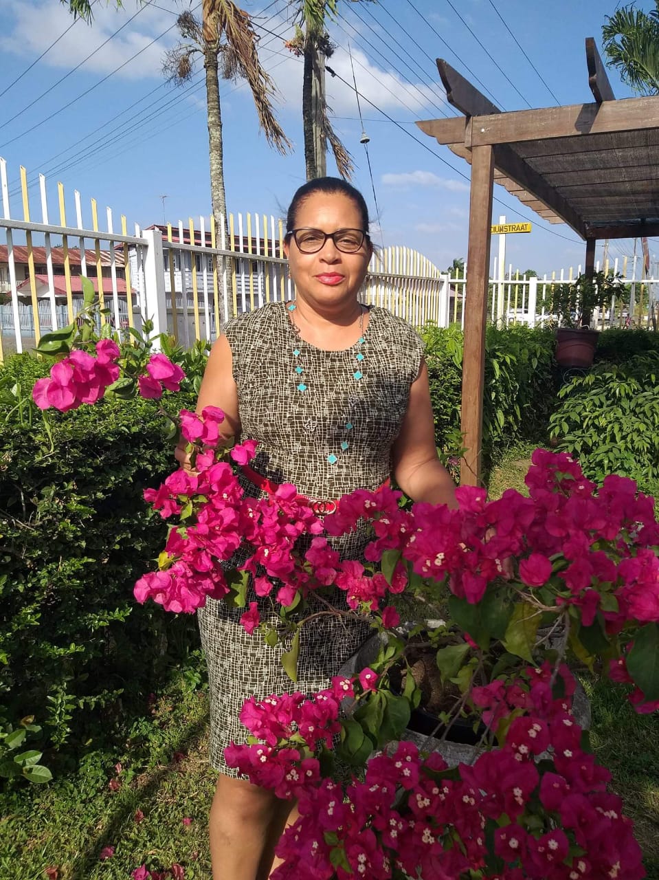 Diana Schattevo - Voorzitter